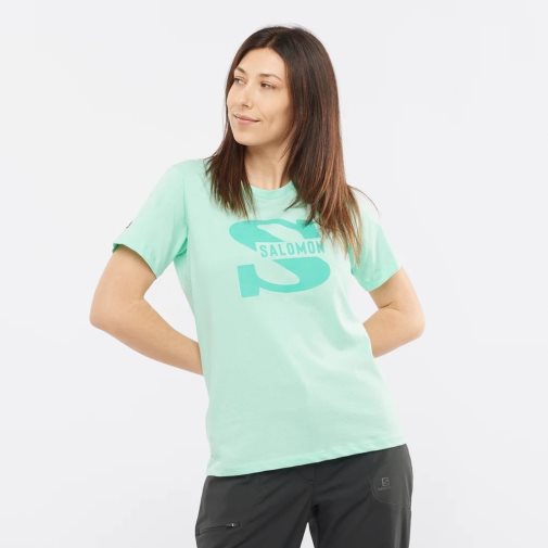 Mint Salomon Outlife Big Logo Short Sleeve Women's T-Shirts | IE CM9561